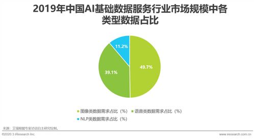 2020年中國AI基礎(chǔ)數(shù)據(jù)服務(wù)行業(yè)發(fā)展報告 數(shù)據(jù)處理服務(wù)