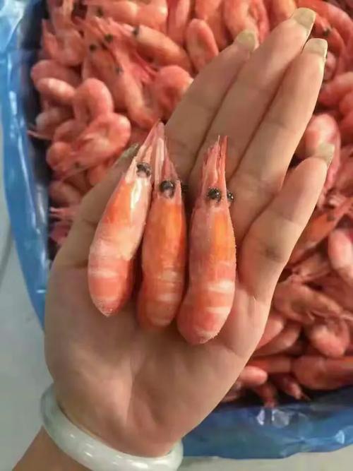 長年經營新鮮渤海灣鮮活冷凍海產品,現推出低中高海鮮大禮包(品種自選